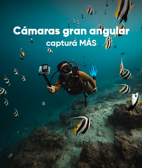 Destacados Home DEsktop